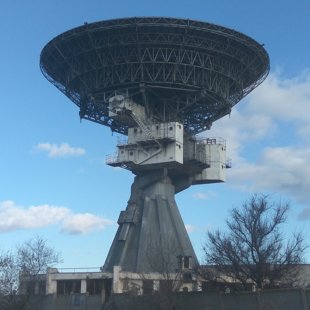 Наша любимая тарелка